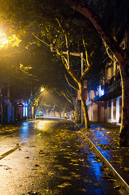 秋雨，深夜，南昌路