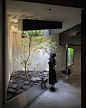 天井植物3