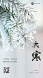 大寒节气祝福合成手机海报