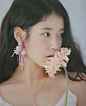 李知恩