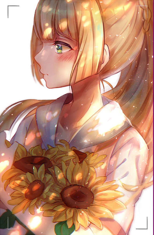 精灵宝可梦  莉莉艾  P站:野野花
