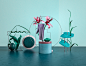 Botanique : A set of concepts mixing plants, geometry, color and light.