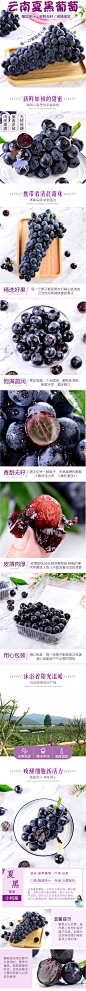 云南夏黑葡萄带箱5斤 新鲜当季水果黑提子黑加仑无籽葡萄孕妇包邮-tmall.com天猫