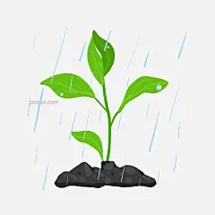 手绘绿植雨水插画图片大小2000x2000px 图片尺寸149.52 KB 来自PNG搜索网 pngss.com 免费免扣png素材下载！降雨#卡通插画#绿色的树苗#飘雨#手绘插画#下雨#雨滴#雨水#雨珠#装饰图案#