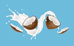 椰子水果元素矢量图设计素材