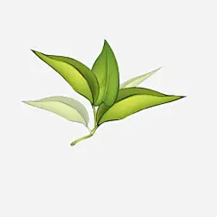 卡通手绘中草药素材 https://88ICON.com 卡通插画 中药材 中草药 中药养生 中药保健 中药药店 免抠 中医标志
