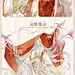 008djnvPgy1h8nae73hqnj30nw2yznn6_看图王