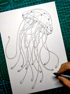 小悠ljh7787采集到插画