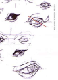 <a href="http://AnatomyTools.com" rel="nofollow" target="_blank">AnatomyTools.com</a> - Instructor Bio: Michael Hampton
