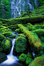 Lower Proxy Falls in Proxy Falls state park in the Three Sisters Wilderness - Oregon