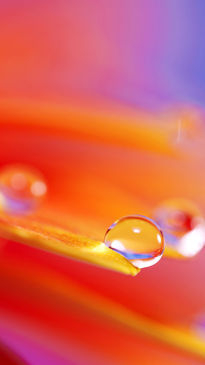 水珠