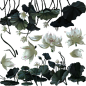 132506k4n5q4w05d4zl20x.png (512×512)