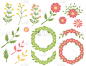 Herbs and wild flowers set