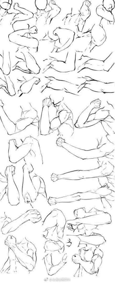 浅澄初夏采集到手臂采集【绘画参考】各个角度的人体手臂的姿势参考