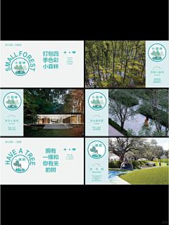 问问哇采集到植物景观