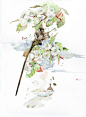#古风绘画# #古风# #古风插画# #古风美图#  带你走进水彩氤氲的古风世界~
（呀呀的作品~） ​​​​