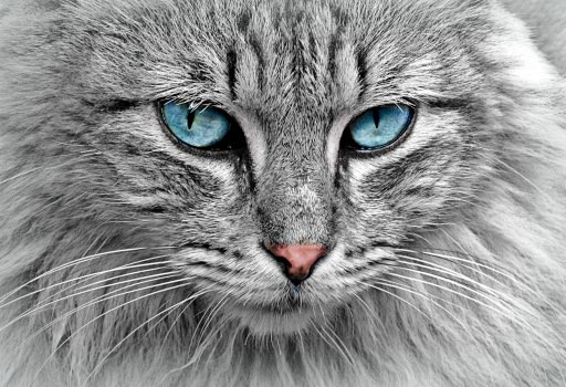  Portrait of beautif...