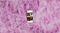 18_Hair_Texture_02_AK_v02