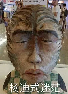 杨迪表情包_百度图片搜索_35d5af8b