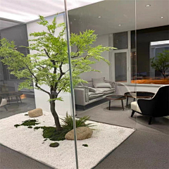 3219632229采集到绿植造景