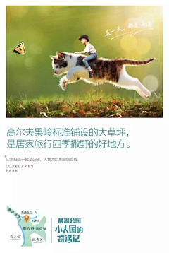 SSuperX采集到地产