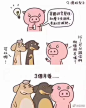 近猪者肥