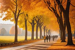 秋季公园里秋风红叶的美丽枫叶插画