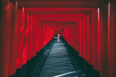花はつ茶こい采集到旅行素材