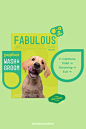 PupBar Brand Identity by Marka Works