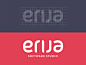 Erija Software Studio by Paul von Excite