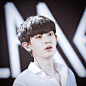 EXO 朴灿烈