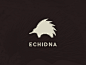 echidna_2-01