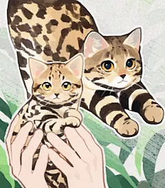 采集图片