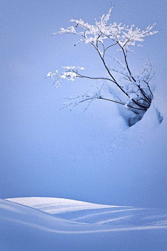 浅水微凉采集到天山雪后海风寒