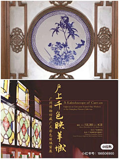 一天只能吃两个鸡蛋采集到满洲窗