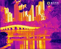 动物 鸟群 红外 热成像 伪彩