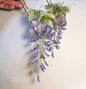热缩-紫藤花
