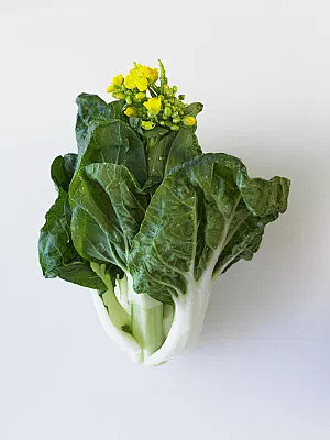 bokchoy