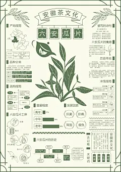 《安徽茶文化-六安瓜片》信息可视化海报练习 - 小红书