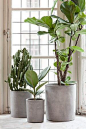 3 THINGS BEST TO CREATE DIY PLANT STANDS