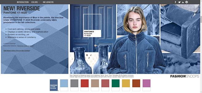 PANTONE FASHION COLO...