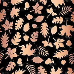 秋天,叶子,玫瑰金,铝箔,季节,夏天,形状,黑色,黄金,铜