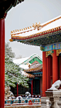 故宫的雪14