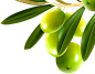 5b04c2eeb6a38