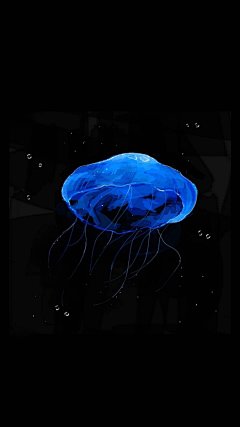 蓝色系动漫卡通手机壁纸下载_动漫新闻_动漫论坛_动漫美图_幻之羁绊动漫网