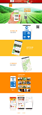 西湖龙井溯源-艺福堂茗茶旗舰店-天猫Tmall.com