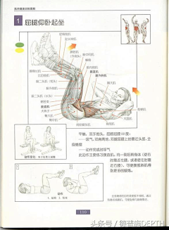 细嚼慢咽采集到养生保健