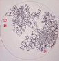 钢笔花卉白描达人叶志军先生的钢笔画分享