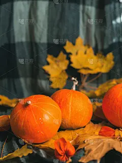 暗色,背景,木制,秋天,南瓜,叶子,留白,自然美,橙子