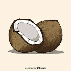 手绘风格椰子插画设计素材